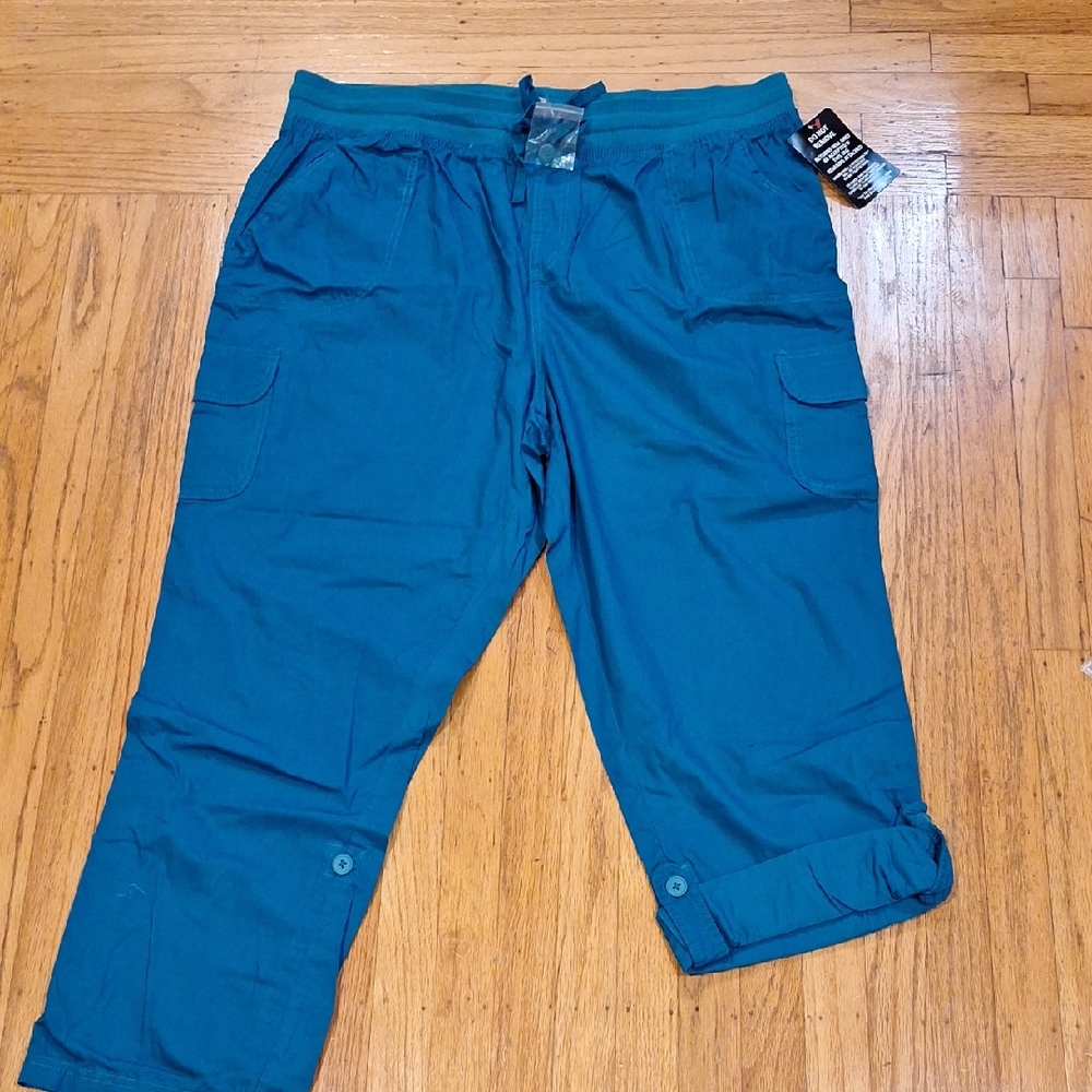 Woman Within Teal Capris